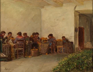 The Rural Women
